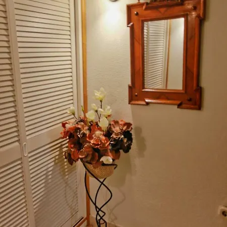 Bed & Breakfast & Antonijela Bol